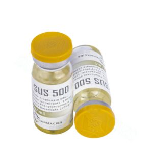 Sus 500 Gold – USA