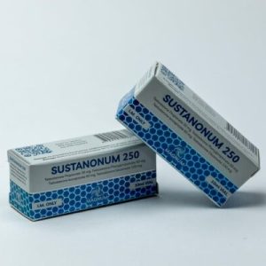 sustanonum 250 sustanon magnum labs 600x400 1