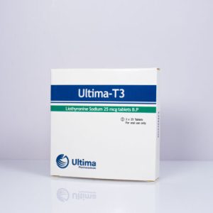 t3 ultima int 600x450 1