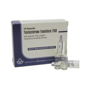 testo e aburaihan 10ampoules 1ml 600x600 1