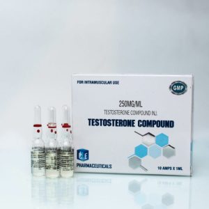 Testosterone Compound (Sustanon) 10amps – Ice Pharmaceuticals