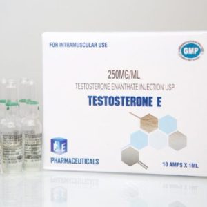 Testosterone E 10amps – Ice Pharmaceuticals