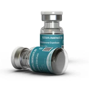 testoxyl enanthate 250 600x600.jpg